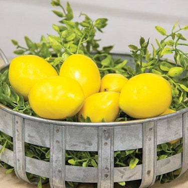 8 Pkg Mini Lemon Fillers - The Fox Decor